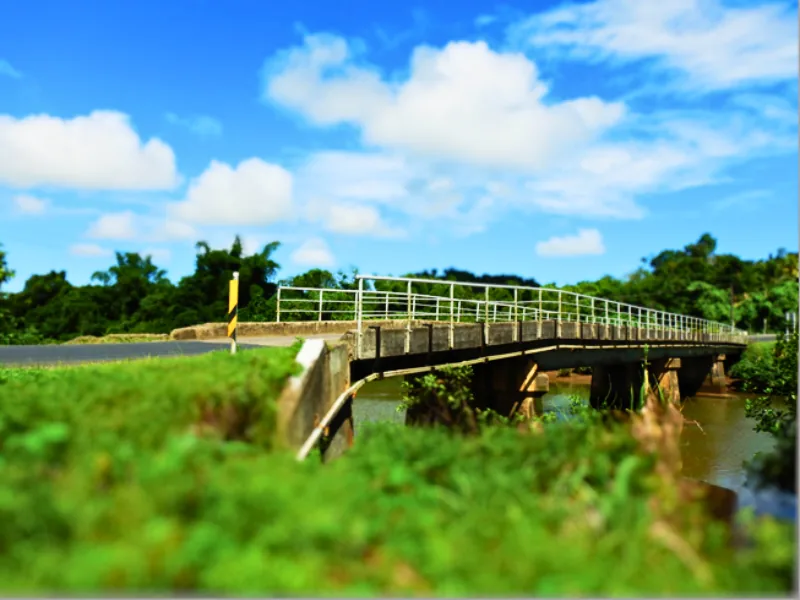 Environment Impact Assessment (EIA) for proposed New Bridge Replacements in Tailevu