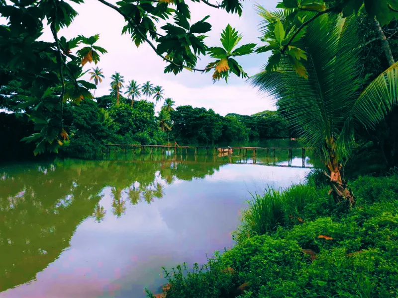 Environment Impact Assessment (EIA) for proposed New Bua Lomanikoro Bridge