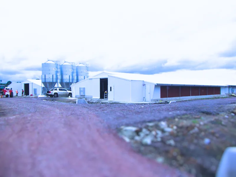 Four New Broiler Sheds for Goodman Fielder Fiji Manoca Farm, Nausori.